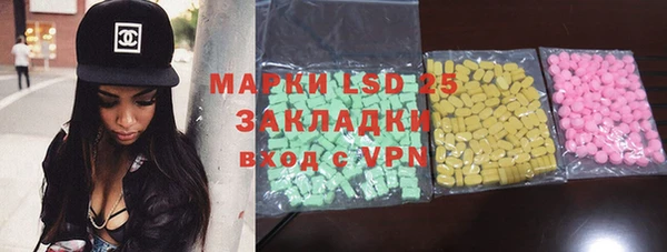 ECSTASY Тайга